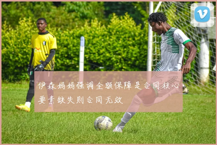 伊森妈妈强调全额保障是合同核心要素缺失则合同无效